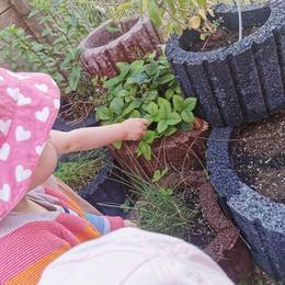 Sensorisches
Gartenarbeit - Mit allen Sinnen
Entspannungsübung
Juhu, da wächst was
Gartenarbeit - Wasserspiele